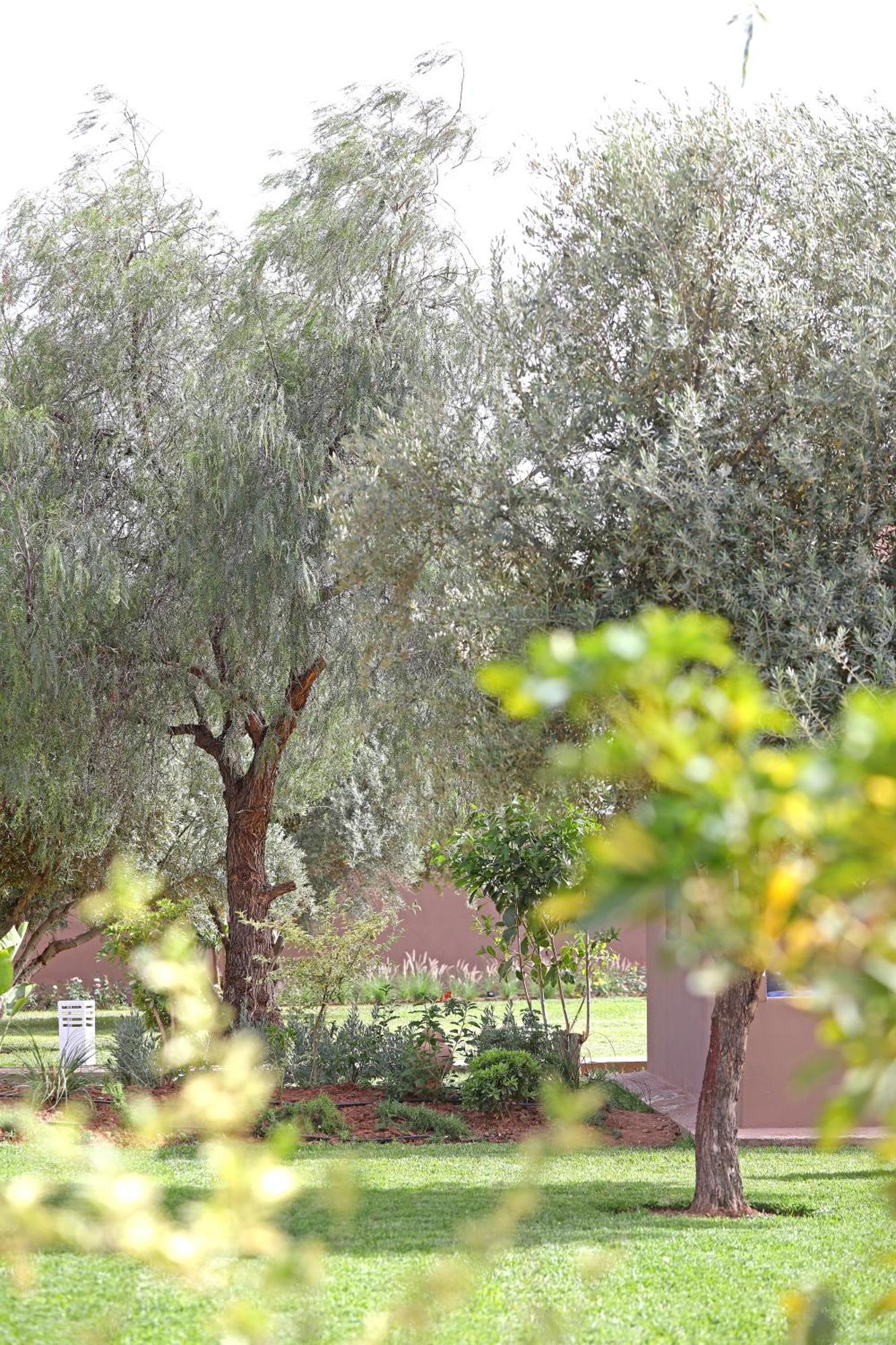 Domaine Du Douar Hotel Chwiter Buitenkant foto